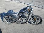 2021 Harley-Davidson Xl883 N for Sale in North Las Vegas, NV - All Over
