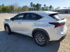 2020 Lexus Nx 300 Base for Sale in Mendon, MA - Front End