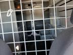 2017 Ram Promaster City  zu verkaufen in Riverview, FL - Normal Wear