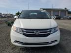 2017 Honda Odyssey Exl for Sale in Eugene, OR - Rear End