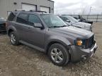 2009 Ford Escape Limited zu verkaufen in Appleton, WI - Front End