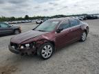 2009 Honda Accord Exl zu verkaufen in Lumberton, NC - Front End