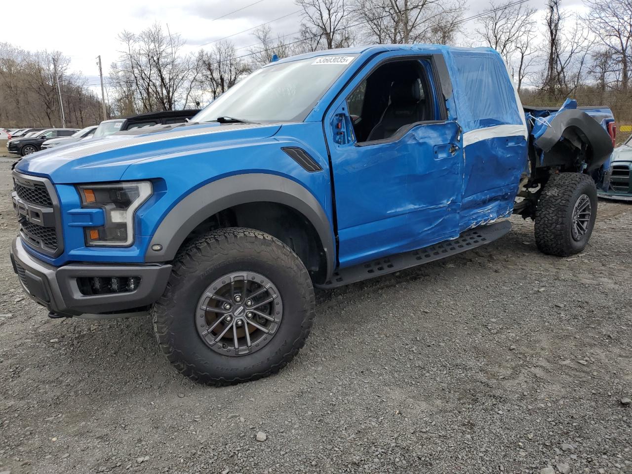 2020 Ford F150 Raptor na sprzedaż w Marlboro, NY - Side