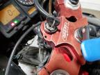 2001 HONDA CBR900 RR for sale at Copart TX - CRASHEDTOYS DALLAS
