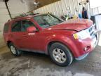 2011 Ford Escape Limited للبيع في Lyman، ME - Front End