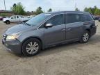 2014 Honda Odyssey Exl na sprzedaż w Gaston, SC - Rear End