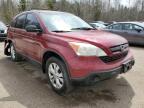 2009 HONDA CR-V LX for sale at Copart ON - COOKSTOWN