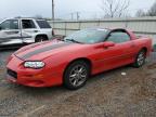 2002 Chevrolet Camaro  за продажба в Hillsborough, NJ - Front End