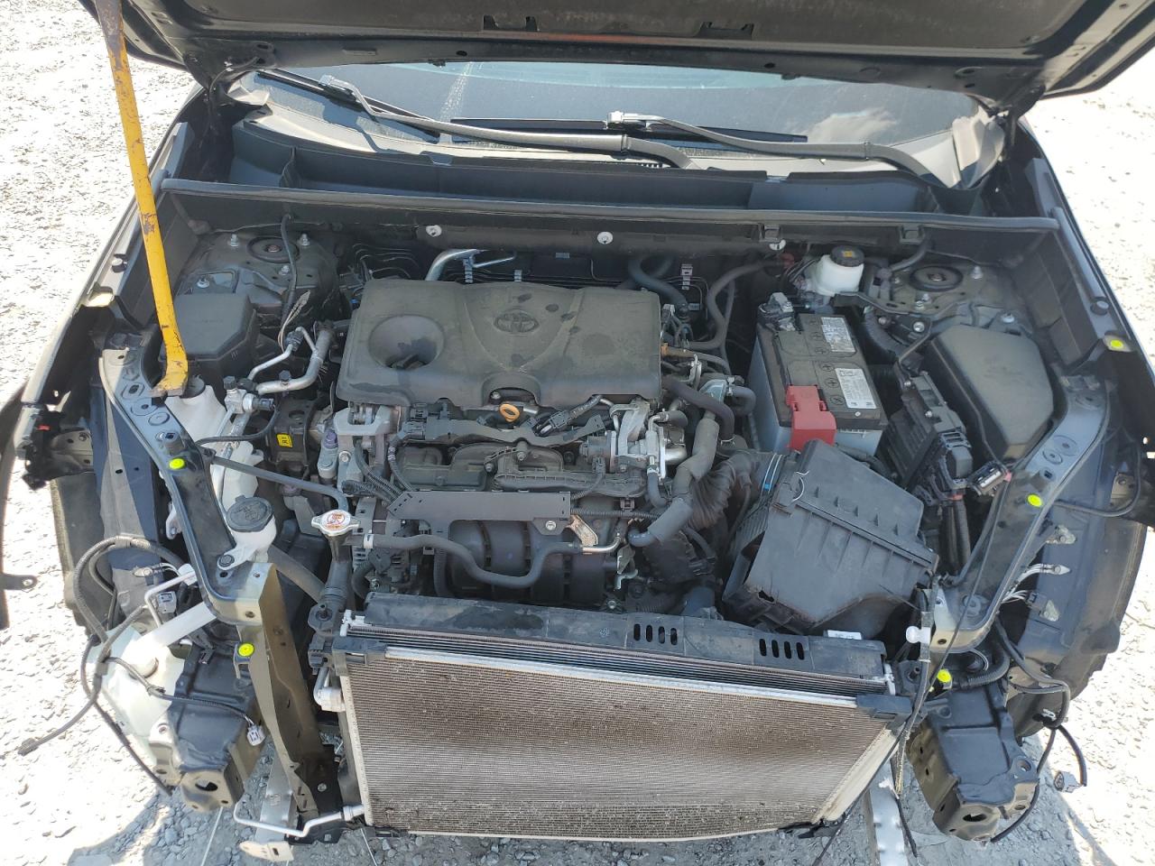 2020 Toyota Rav4 Xle Premium VIN: 2T3C1RFV8LC065620 Lot: 55224245