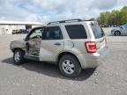 2010 Ford Escape Xlt for Sale in Madisonville, TN - All Over
