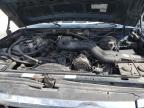 1995 Ford F250  en Venta en Cahokia Heights, IL - Top/Roof