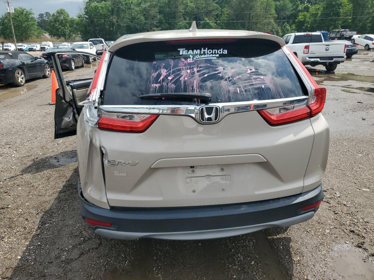 2019 Honda Cr-V Ex VIN: 2HKRW1H54KH502379 Lot: 54432955