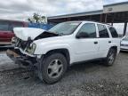2007 Chevrolet Trailblazer Ls for Sale in Riverview, FL - Front End