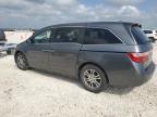2012 Honda Odyssey Exl en Venta en Taylor, TX - Hail
