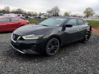 2019 Nissan Maxima S na sprzedaż w Hillsborough, NJ - Rear End
