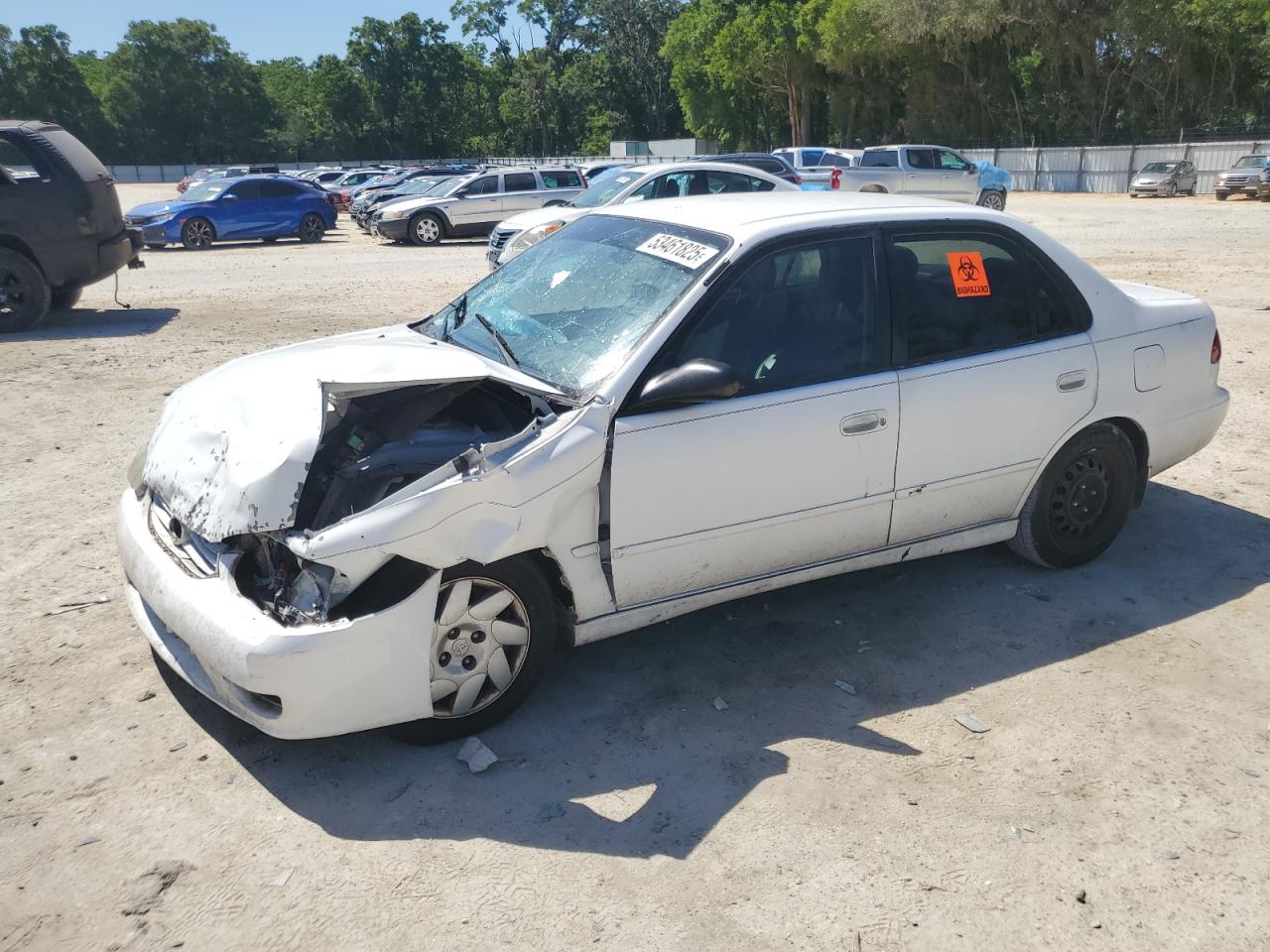 2001 Toyota Corolla Ce zu verkaufen in Ocala, FL - Front End