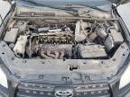 2010 Toyota Rav4  იყიდება Bakersfield-ში, CA - Minor Dent/Scratches