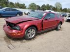 2005 Ford Mustang  იყიდება Elgin-ში, IL - Front End