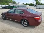 2008 Lexus Ls 460 zu verkaufen in Hampton, VA - Front End