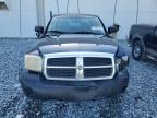 Apopka, FL에서 판매 중인 2007 Dodge Dakota Quad   - Front End