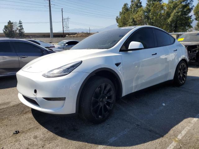  TESLA MODEL Y 2023 Белый