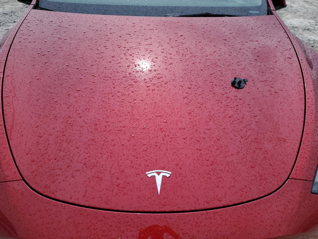 2024 Tesla Model Y VIN: 7SAYGDED6RA304546 Lot: 54132525