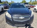 2013 CHEVROLET MALIBU 1LT   for sale at Copart OR - PORTLAND NORTH