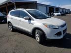 2013 Ford Escape Se for Sale in Denver, CO - Undercarriage