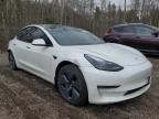 2021 TESLA MODEL 3  for sale at Copart ON - COOKSTOWN