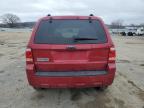 2008 Ford Escape Xlt for Sale in Mcfarland, WI - Front End