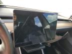 2019 Tesla Model 3  en Venta en West Palm Beach, FL - Water/Flood