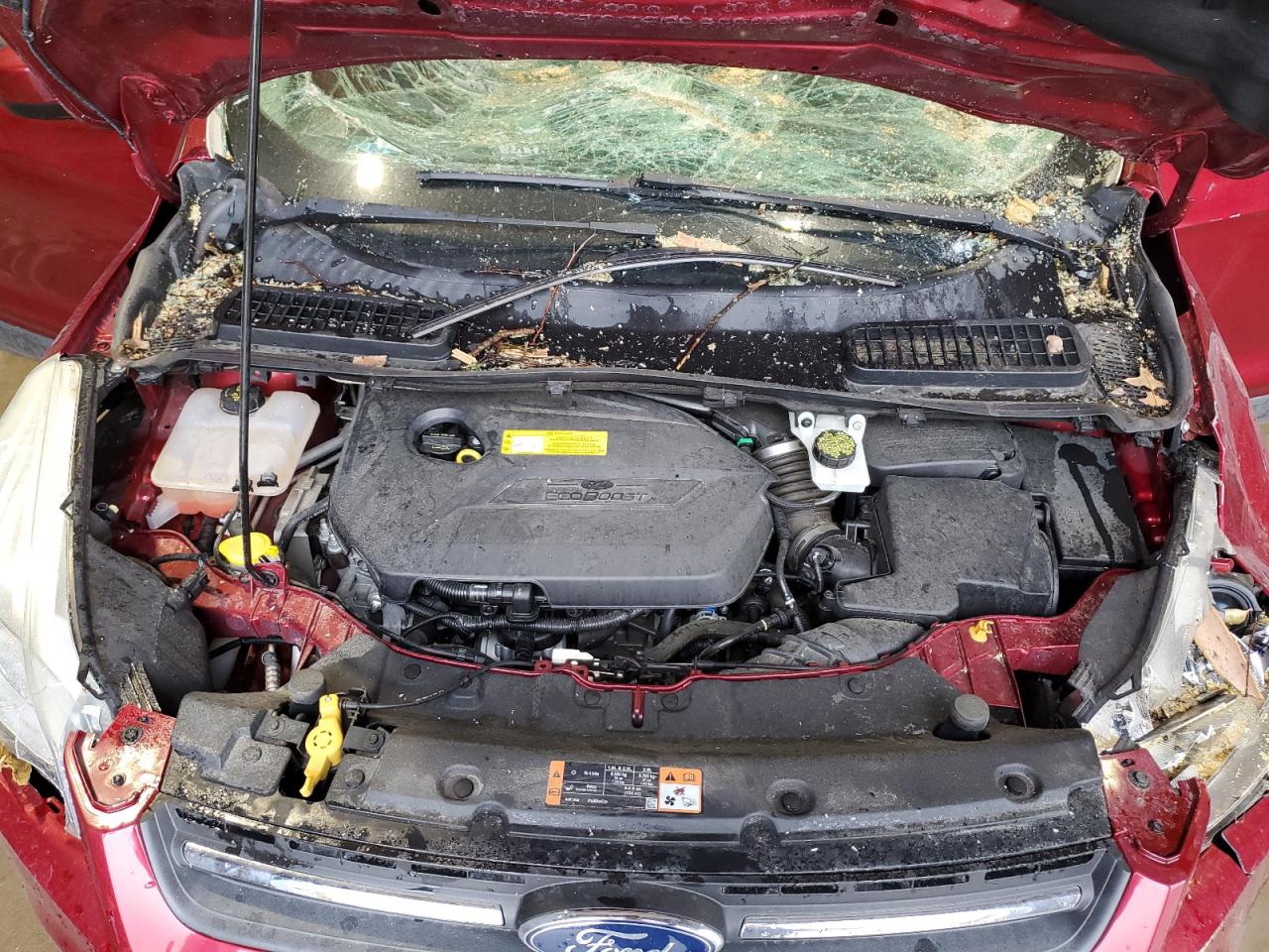 2015 Ford Escape Se VIN: 1FMCU0GXXFUC01213 Lot: 51985515