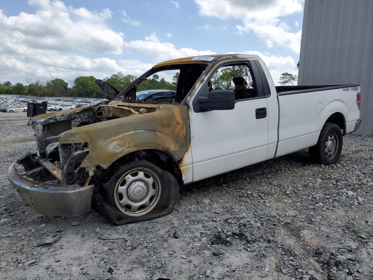 2010 Ford F150 for Sale in Byron, GA - Burn