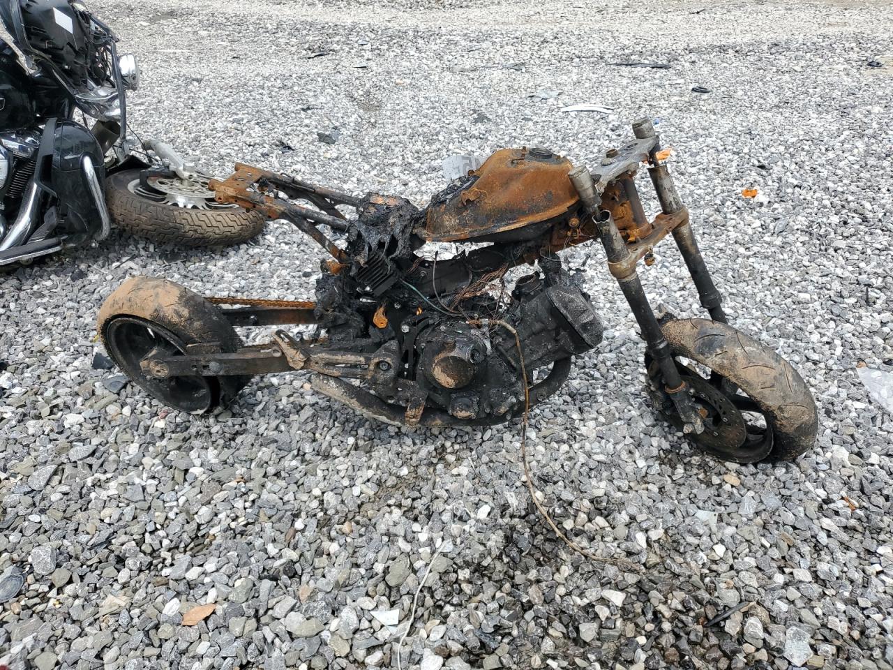 2023 Honda Grom 125 zu verkaufen in Madisonville, TN - Burn