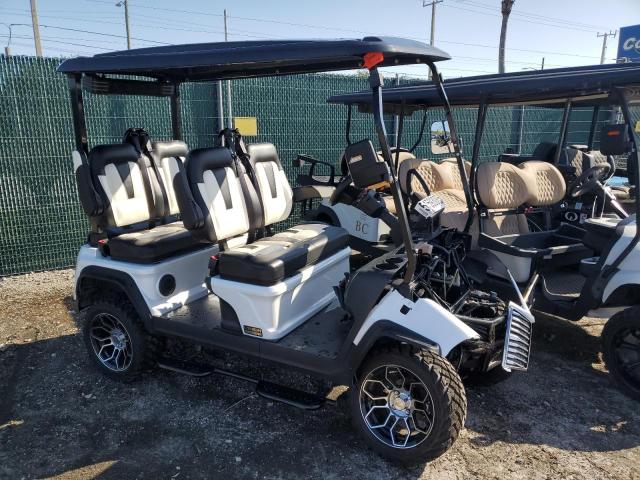 2024 Unit Golf Cart