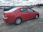 2010 Toyota Corolla Base продається в Elmsdale, NS - Front End