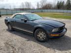 2007 Ford Mustang  for Sale in Leroy, NY - Front End