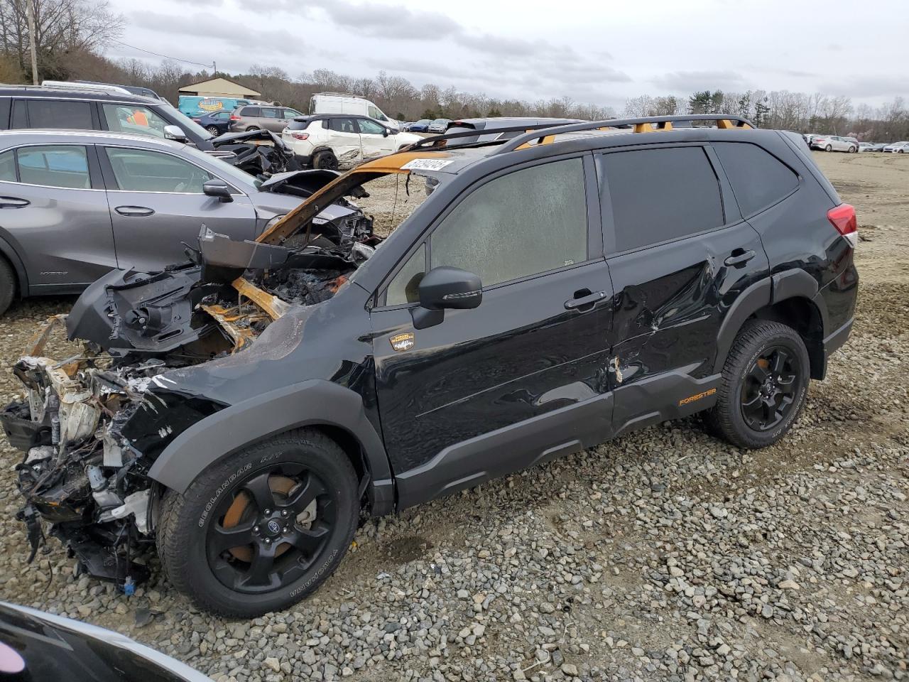 2024 Subaru Forester Wilderness for Sale in Windsor, NJ - Burn