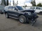 Miami, FL에서 판매 중인 2019 Cadillac Escalade  - Front End