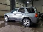 2007 Ford Escape Xlt for Sale in Ham Lake, MN - Front End