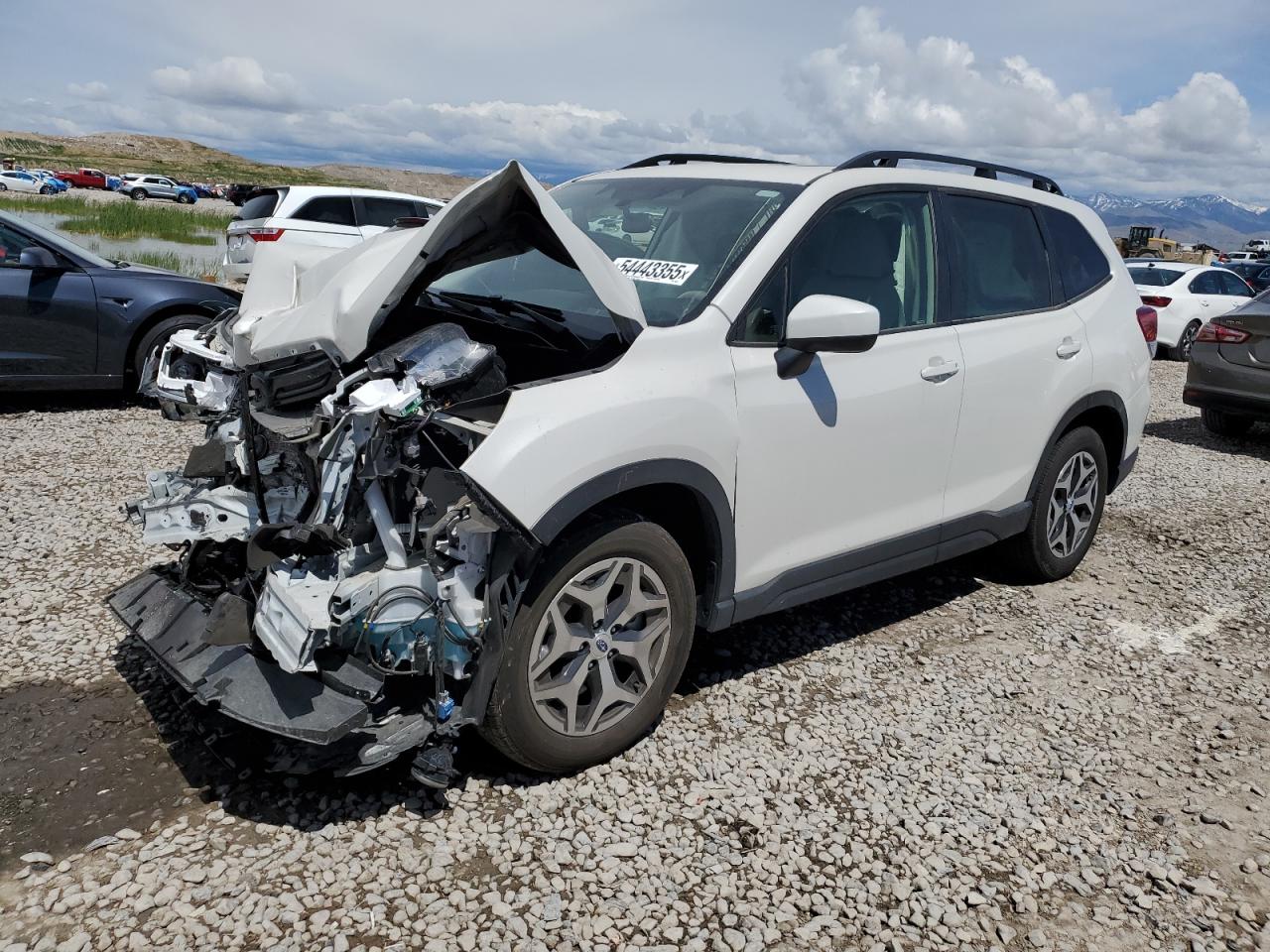 2022 Subaru Forester Premium VIN: JF2SKAEC9NH486975 Lot: 54443355