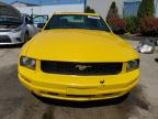 2005 Ford Mustang  на продаже в Louisville, KY - Rear End