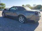 2014 Ford Mustang  for Sale in Lebanon, TN - Front End