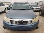 2010 Subaru Forester 2.5X Premium за продажба в Haslet, TX - Hail