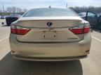 2013 Lexus Es 300H للبيع في Louisville، KY - Front End