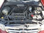 2012 Ford Escape Xlt for Sale in Earlington, KY - Hail