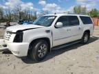 2008 Cadillac Escalade Esv იყიდება Baltimore-ში, MD - Front End