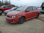 2009 TOYOTA COROLLA BASE à vendre chez Copart ON - TORONTO