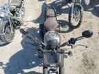 2023 Honda Cmx500  for Sale in Bakersfield, CA - Vandalism