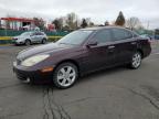2006 Lexus Es 330 en Venta en Denver, CO - Rear End